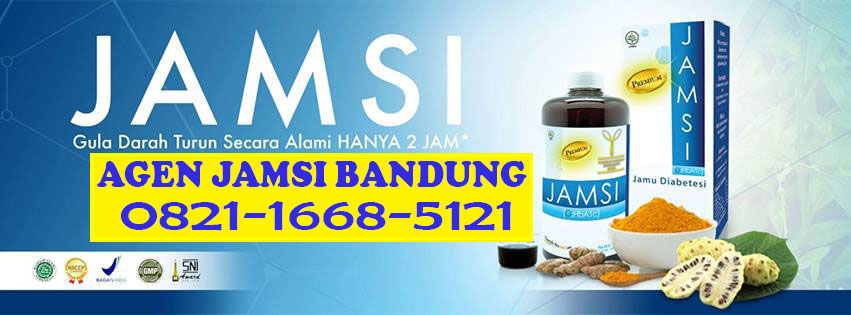 0821-1668-5121 (Telkomsel), Agen JAMSI Bandung